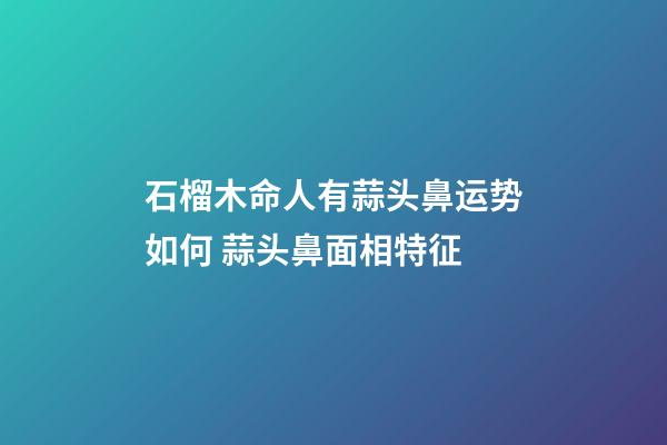 石榴木命人有蒜头鼻运势如何 蒜头鼻面相特征